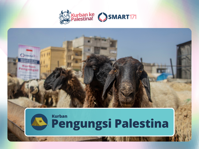 Qurban Pengungsi Palestina (Rp 4.900.000)