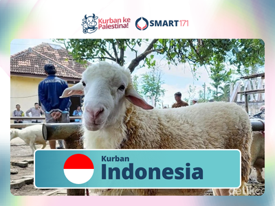Qurban Indonesia (Rp 3.500.000)